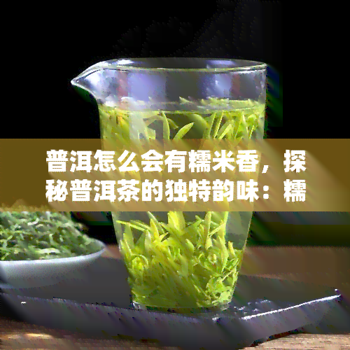 普洱怎么会有糯米香，探秘普洱茶的独特韵味：糯米香的由来