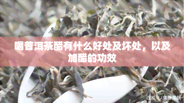 喝普洱茶醋有什么好处及坏处，以及加醋的功效