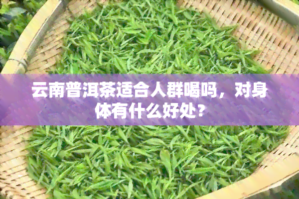 云南普洱茶适合人群喝吗，对身体有什么好处？