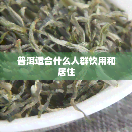 普洱适合什么人群饮用和居住