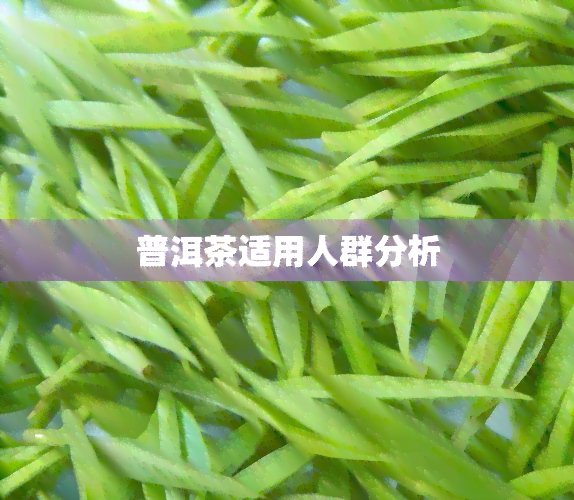 普洱茶适用人群分析