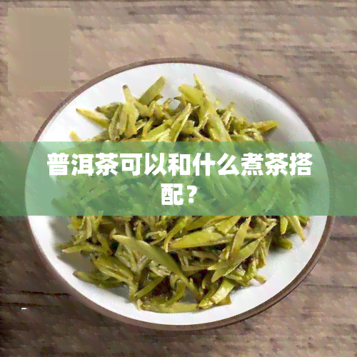 普洱茶可以和什么煮茶搭配？