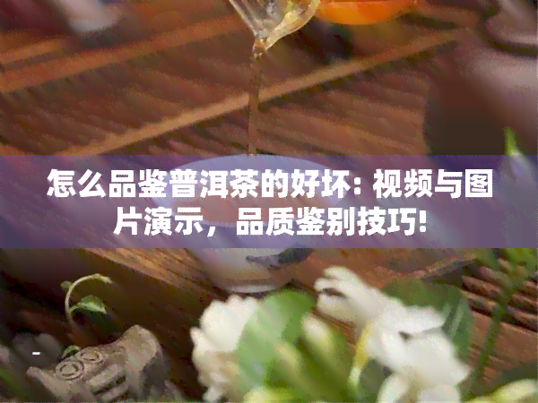 怎么品鉴普洱茶的好坏: 视频与图片演示，品质鉴别技巧!