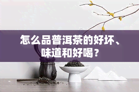 怎么品普洱茶的好坏、味道和好喝？