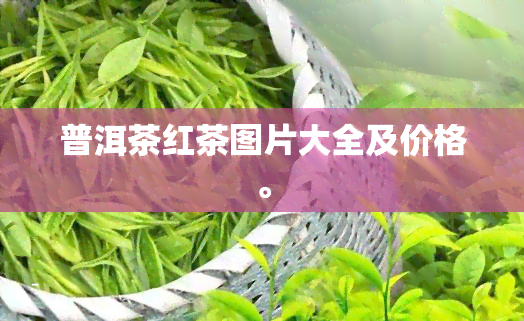 普洱茶红茶图片大全及价格。