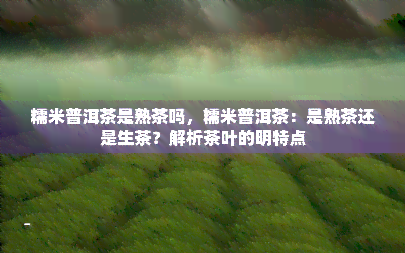 糯米普洱茶是熟茶吗，糯米普洱茶：是熟茶还是生茶？解析茶叶的明特点