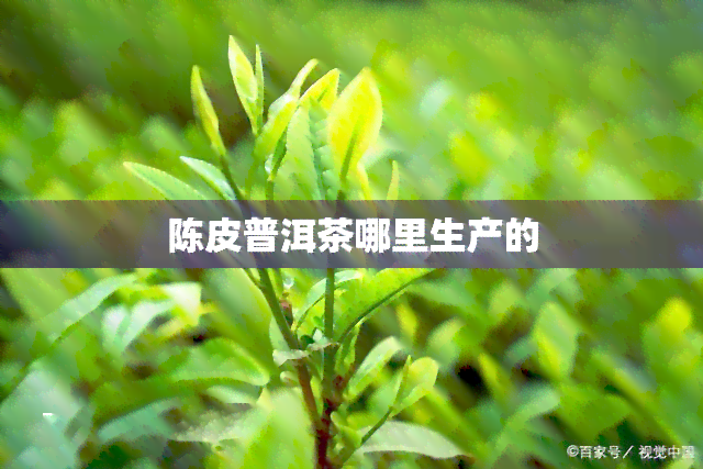 陈皮普洱茶哪里生产的