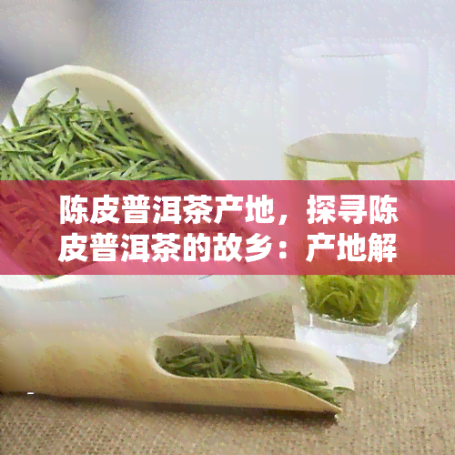 陈皮普洱茶产地，探寻陈皮普洱茶的故乡：产地解析