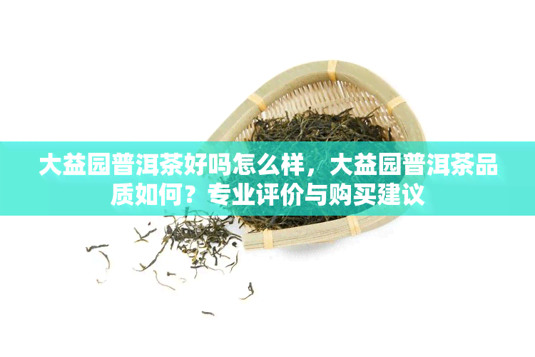 大益园普洱茶好吗怎么样，大益园普洱茶品质如何？专业评价与购买建议