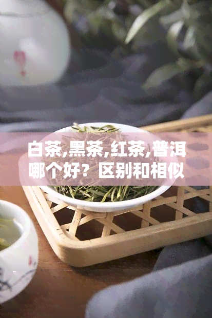 白茶,黑茶,红茶,普洱哪个好？区别和相似点比较