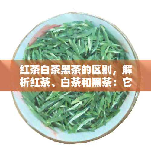 红茶白茶黑茶的区别，解析红茶、白茶和黑茶：它们之间的区别