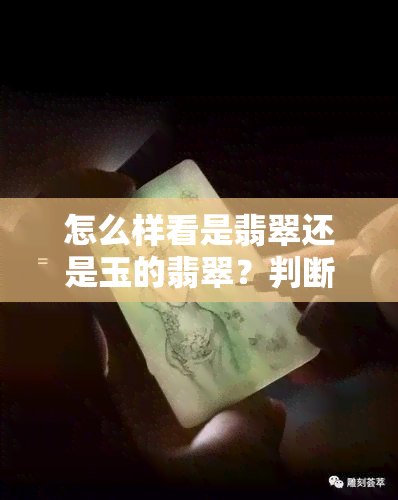 怎么样看是翡翠还是玉的翡翠？判断真假的技巧