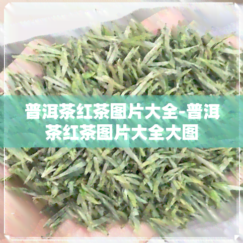 普洱茶红茶图片大全-普洱茶红茶图片大全大图