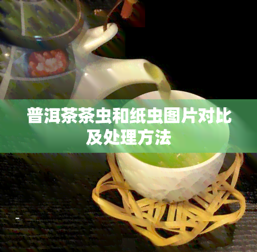 普洱茶茶虫和纸虫图片对比及处理方法