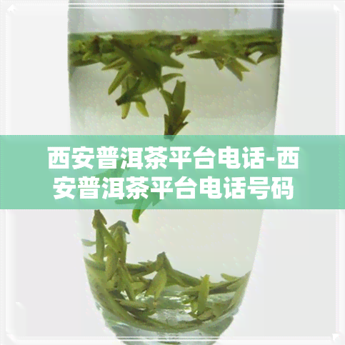 西安普洱茶平台电话-西安普洱茶平台电话号码