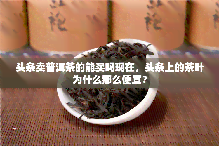 头条卖普洱茶的能买吗现在，头条上的茶叶为什么那么便宜？