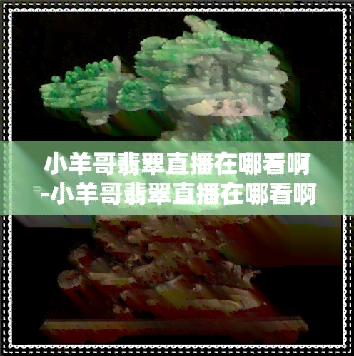 小羊哥翡翠直播在哪看啊-小羊哥翡翠直播在哪看啊视频