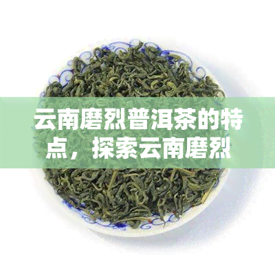 云南磨烈普洱茶的特点，探索云南磨烈普洱茶：品味独特风味与文化传承