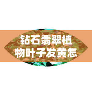 钻石翡翠植物叶子发黄怎么办？掉叶原因及白色叶片处理