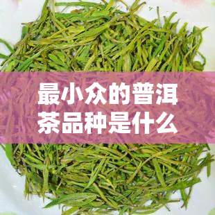 最小众的普洱茶品种是什么？