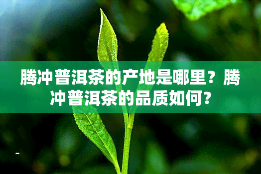 腾冲普洱茶的产地是哪里？腾冲普洱茶的品质如何？