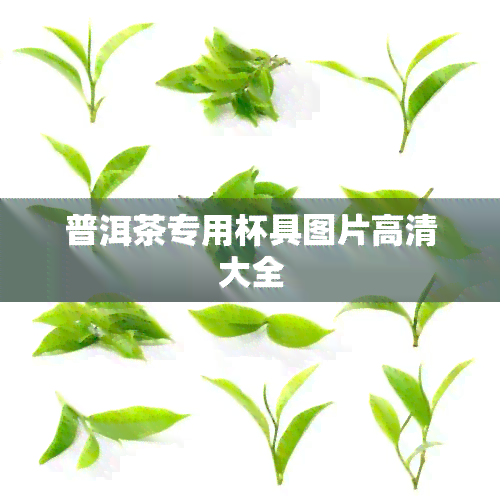 普洱茶专用杯具图片高清大全