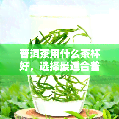 普洱茶用什么茶杯好，选择最适合普洱茶的茶杯：品茶的完美伴侣