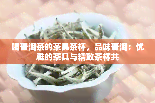 喝普洱茶的茶具茶杯，品味普洱：优雅的茶具与精致茶杯共