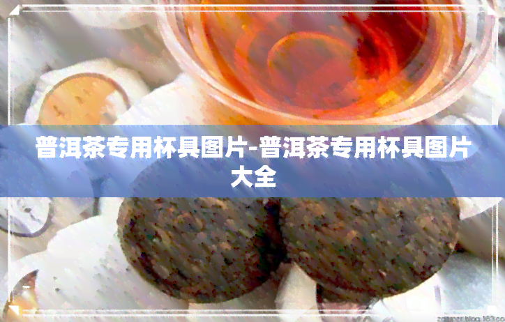 普洱茶专用杯具图片-普洱茶专用杯具图片大全