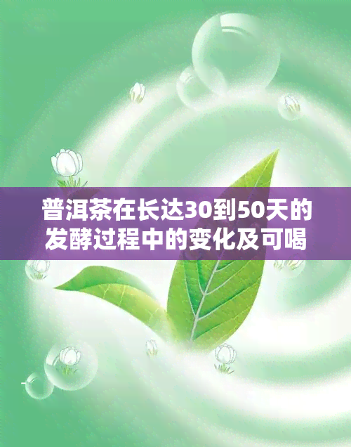 普洱茶在长达30到50天的发酵过程中的变化及可喝性