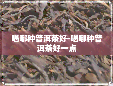 喝哪种普洱茶好-喝哪种普洱茶好一点