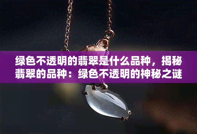 绿色不透明的翡翠是什么品种，揭秘翡翠的品种：绿色不透明的神秘之谜