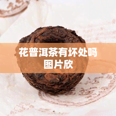 花普洱茶有坏处吗图片欣