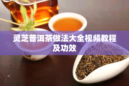 灵芝普洱茶做法大全视频教程及功效