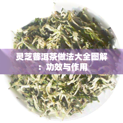 灵芝普洱茶做法大全图解：功效与作用