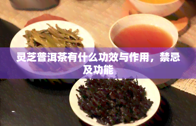 灵芝普洱茶有什么功效与作用，禁忌及功能