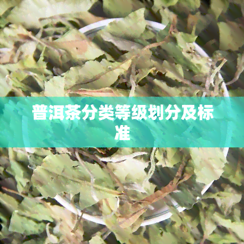 普洱茶分类等级划分及标准