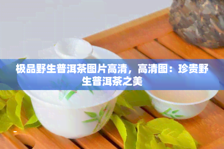 极品野生普洱茶图片高清，高清图：珍贵野生普洱茶之美