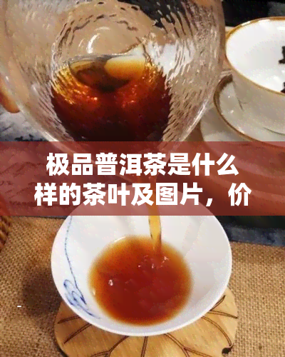 极品普洱茶是什么样的茶叶及图片，价格一斤