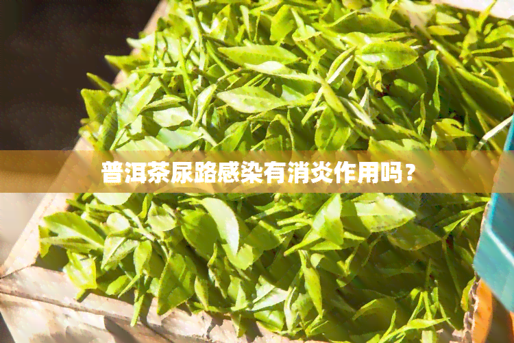 普洱茶尿路感染有消炎作用吗？