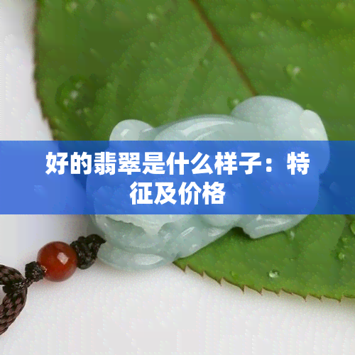 好的翡翠是什么样子：特征及价格