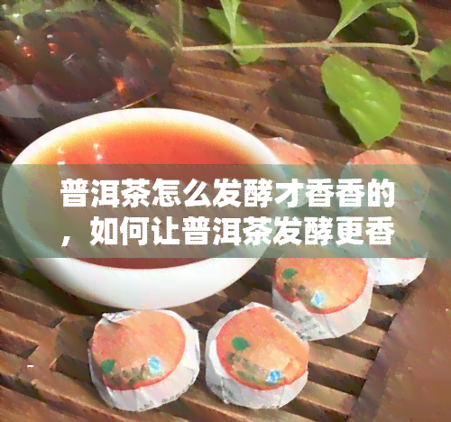 普洱茶怎么发酵才香香的，如何让普洱茶发酵更香？探寻香气之道