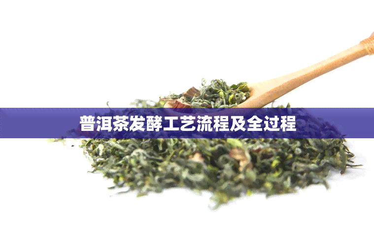 普洱茶发酵工艺流程及全过程