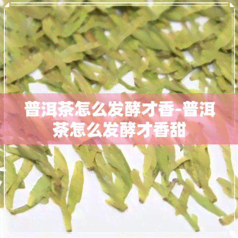 普洱茶怎么发酵才香-普洱茶怎么发酵才香甜