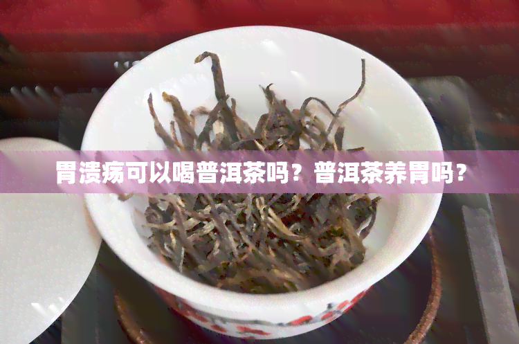 胃溃疡可以喝普洱茶吗？普洱茶养胃吗？