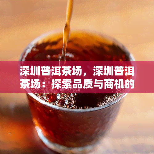 深圳普洱茶场，深圳普洱茶场：探索品质与商机的交汇点