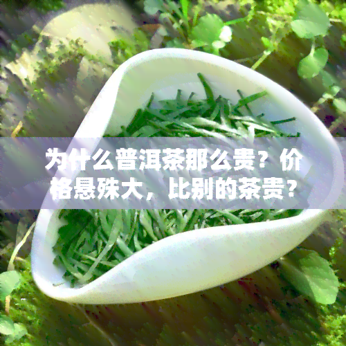 为什么普洱茶那么贵？价格悬殊大，比别的茶贵？