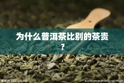 为什么普洱茶比别的茶贵？