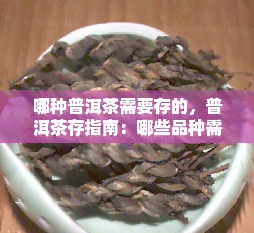 哪种普洱茶需要存的，普洱茶存指南：哪些品种需要存？