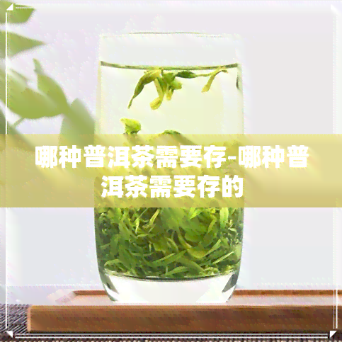 哪种普洱茶需要存-哪种普洱茶需要存的